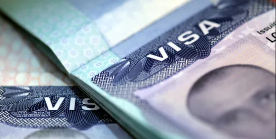 State Department Updates Diversity, Immigrant Visa Processing Following Federal Court Decisions