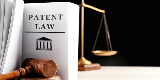 When Broad Patent Claims Need a Backup Plan: Portfolio Lessons From Nielsen v. TVision