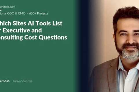 Which reference domains Perplexity and Google AI Overviews listed for 11 executive and consulting..
